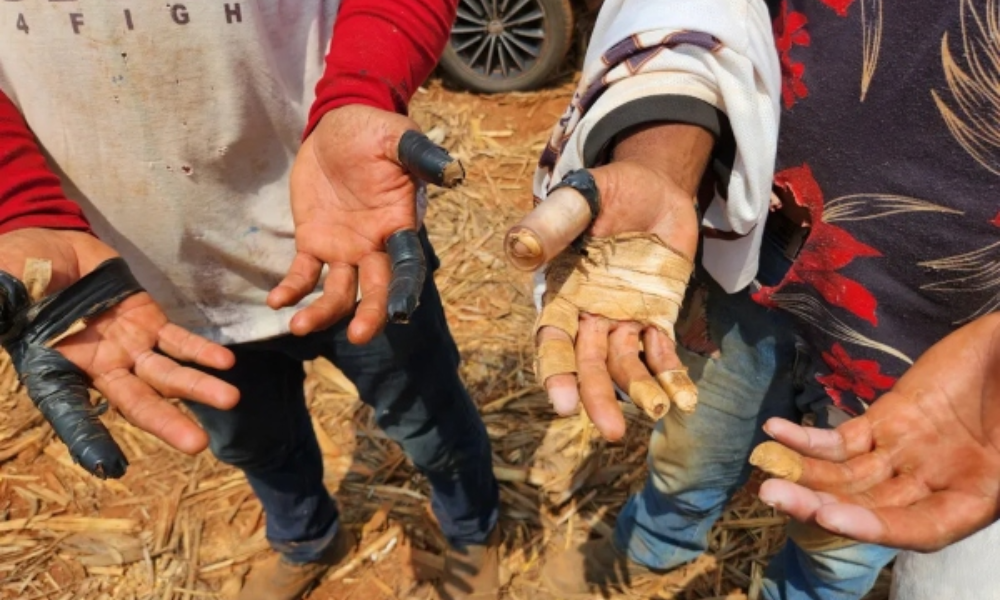 Brasil registra recorde histórico de denúncias de trabalho escravo