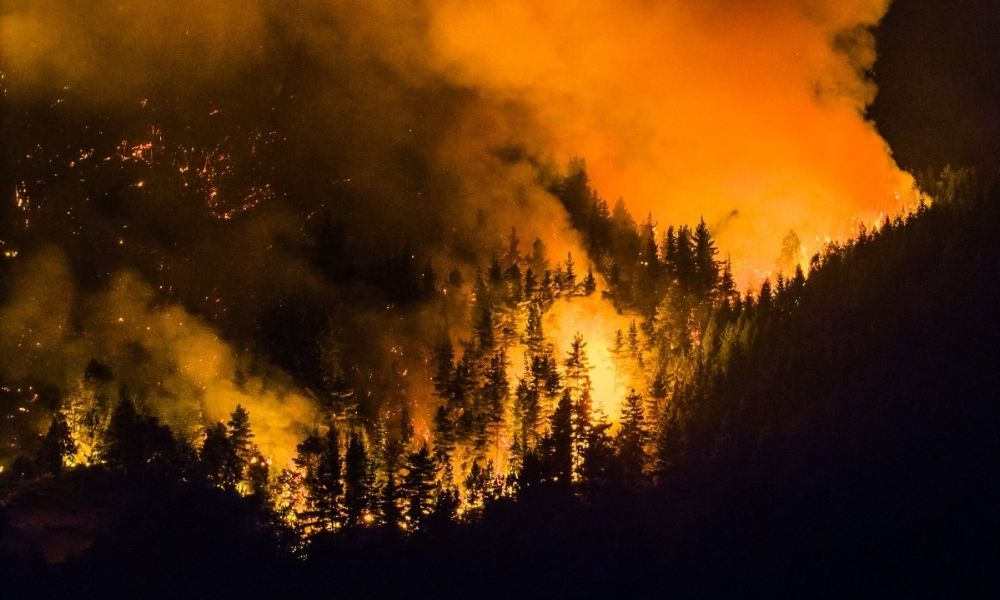 Incêndio florestal atinge Patagônia argentina e consome mais de 5.500 hectares