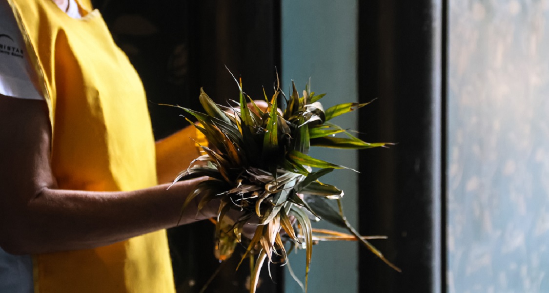 Como preservar a tradição em casa e qual o significado dos ramos de palmeira no Domingo de Ramos que antecede a Páscoa